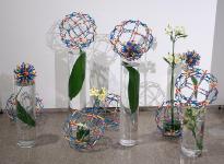 20 - Sharon Oikawa -- Hulse, Playfair and McGarry.jpg 7.6K